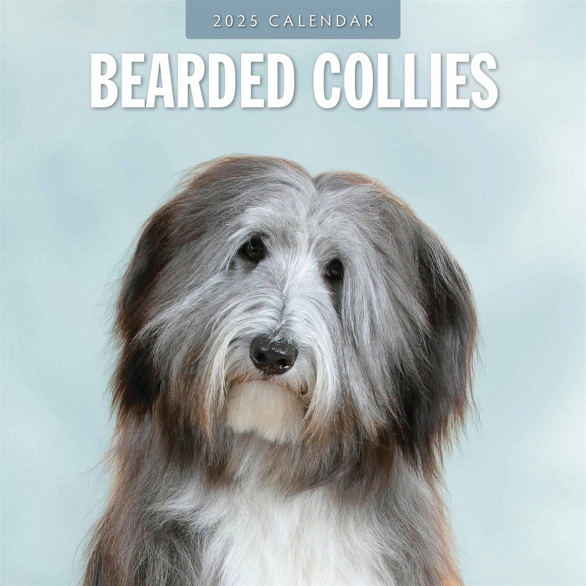 Bearded Collies Calendar 2025