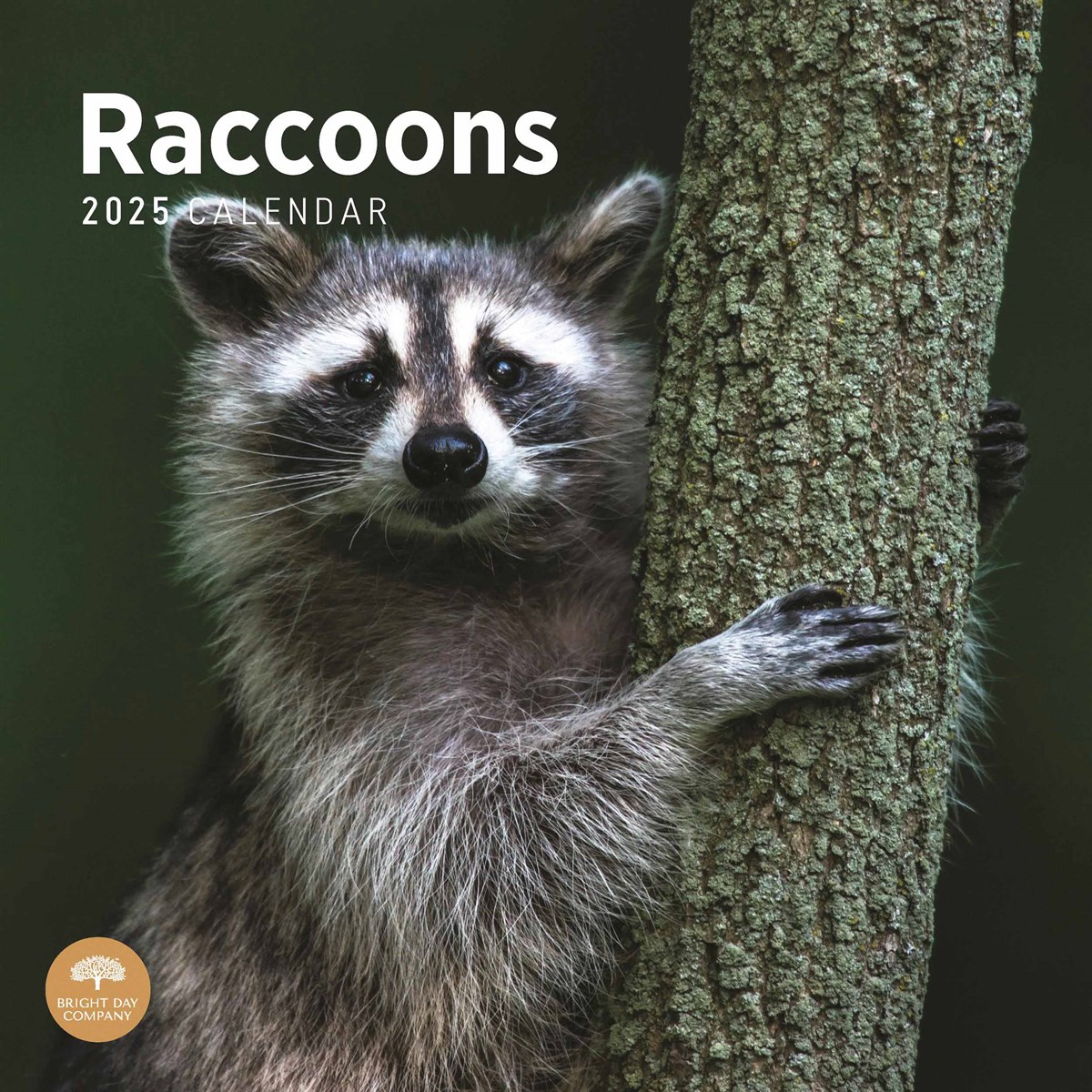 Raccoons Calendar 2025