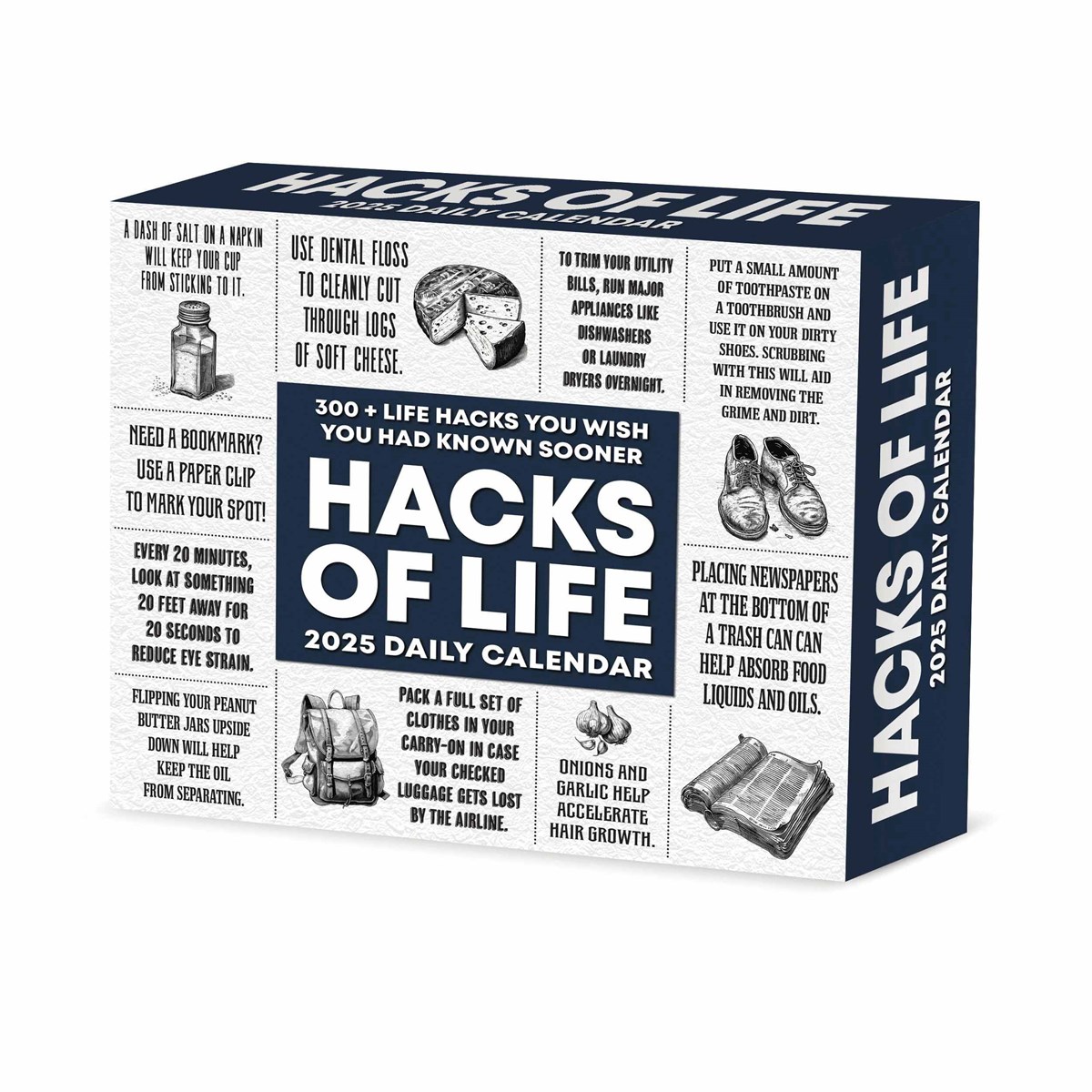 Hacks of Life Desk Calendar 2025